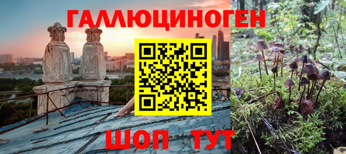 Крымск  Галлюциногенные грибы мицелий  закладки  Галлюциногенные грибы Psilocybine cubensis  Вход с VPN 