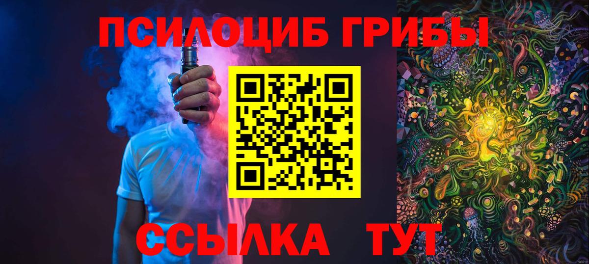 Псилоцибиновые грибы Psilocybine cubensis Крымск